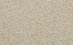 Weißes Quinoa